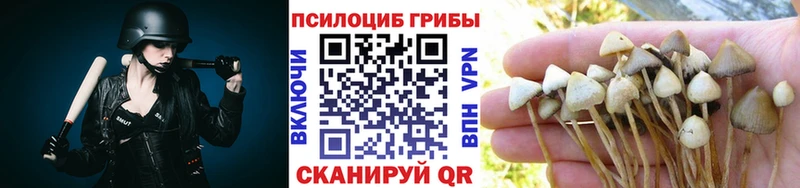 Псилоцибиновые грибы Cubensis Бодайбо